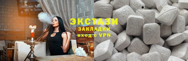 индика Мегион