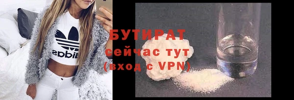 индика Мегион