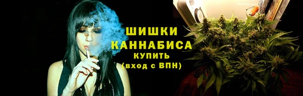 индика Мегион