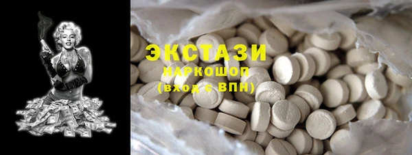 индика Мегион