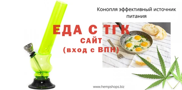 индика Мегион