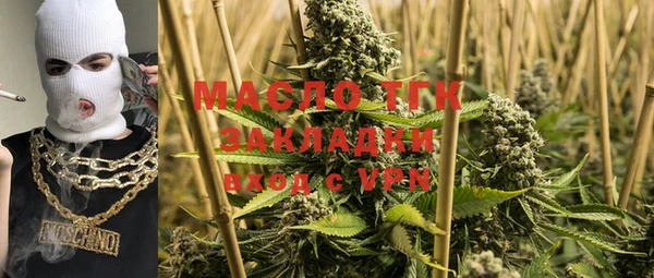 индика Мегион