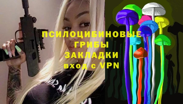 индика Мегион