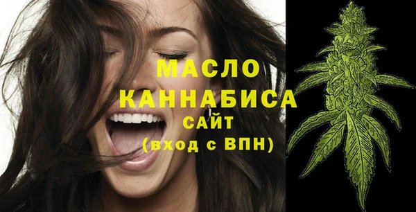индика Мегион