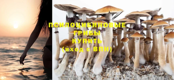 a pvp Медвежьегорск