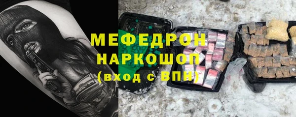индика Мегион